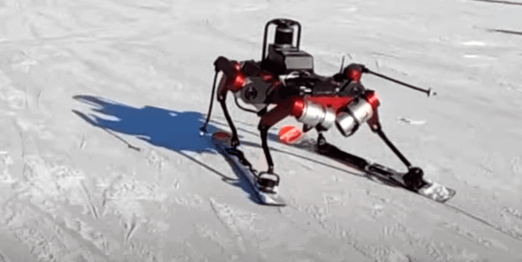 רובוט סקי