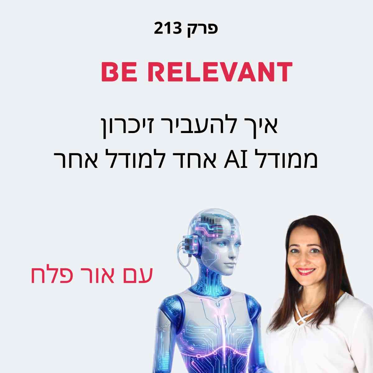 פרק 213 - העברת זיכרון בין מודלי AI