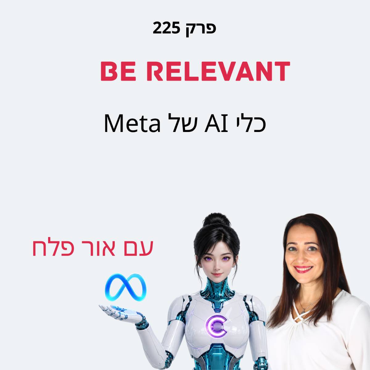 פרק 225 - MetaAI