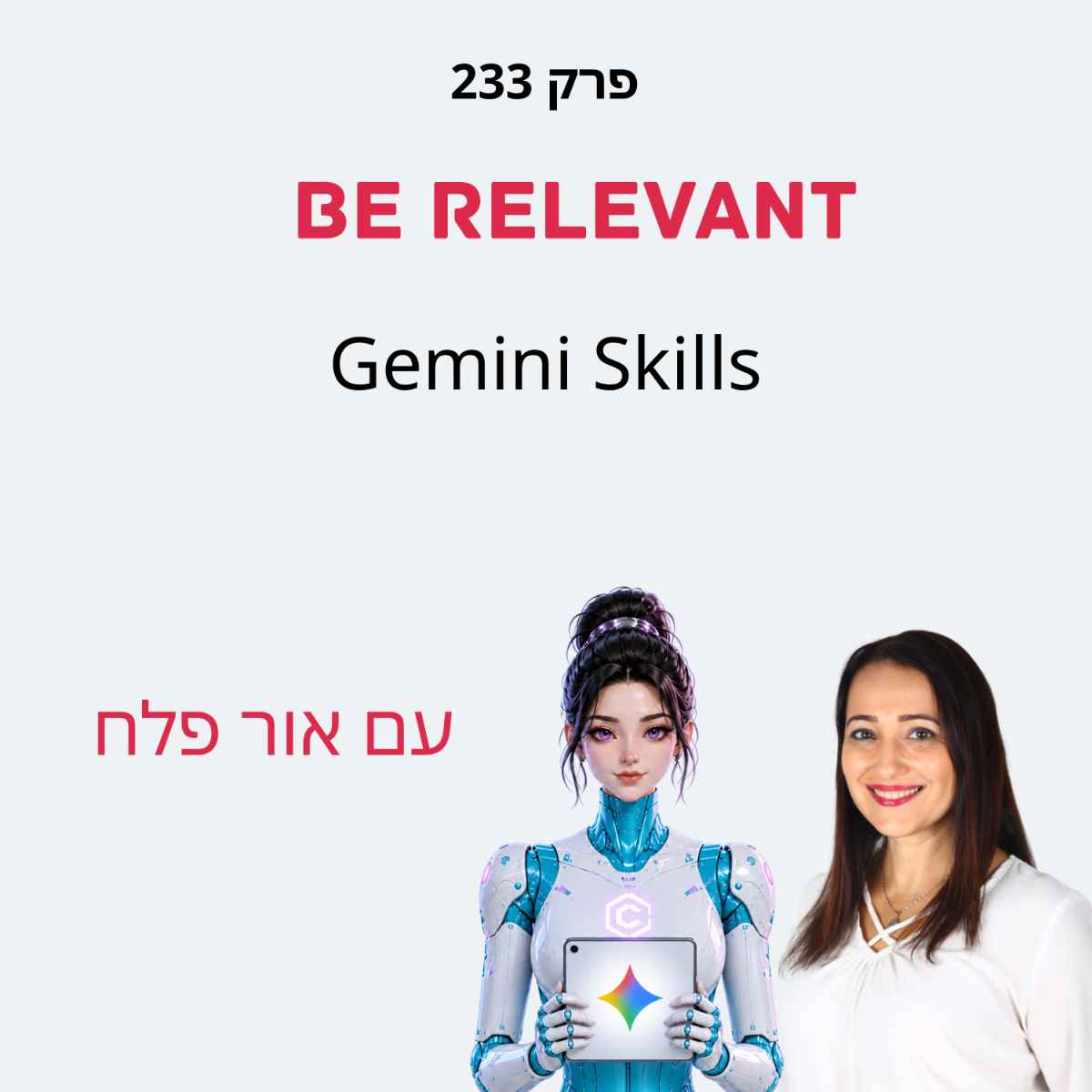פרק 233 - Gemini Skills